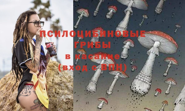 мет Горнозаводск