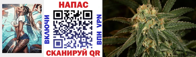 МЕГА вход  купить наркоту  Зерноград  Канабис VHQ 